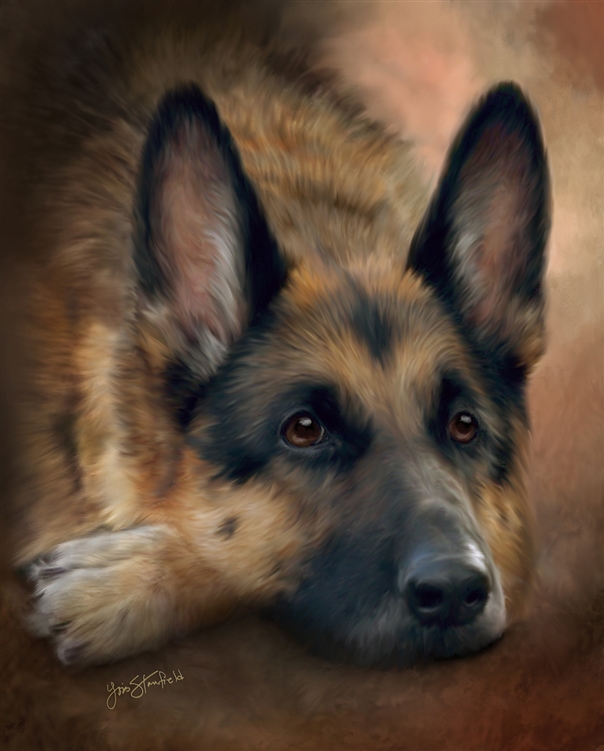 German Shepherd -  dog by Lois Stanfield