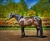 Blue Blood - Thoroughbred horse by Lois Stanfield