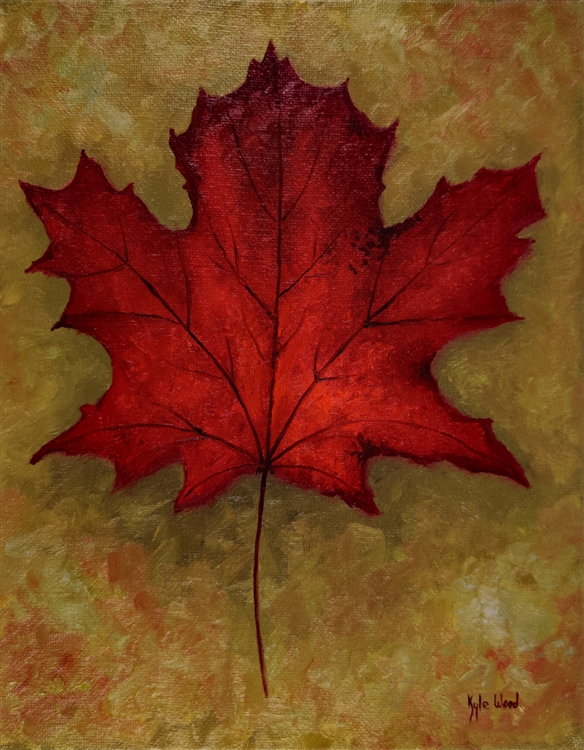 Maple Leaf by Kyle Wood