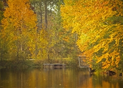 Autumn at the Pond by Hal Halli