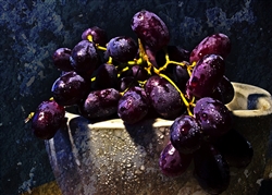 Purple Grapes by Hal Halli
