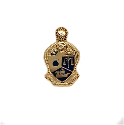 Enameled Recognition Pin
