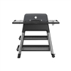 Everdure Force 2 Burner Propane Gas Grill and Cart, Graphite