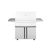 Twin Eagles Double Door Grill Base