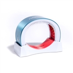 Hairmax LaserBand 82 ComfortFlex w/ Free Haircare Bundle