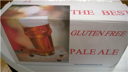 Best Gluten Free Pale AleBeer Kit