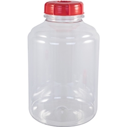 Fermonster 3 gal Carboy