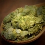 Mosaic Leaf Hops