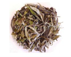 Pai Mu Tan Tea for Kombucha