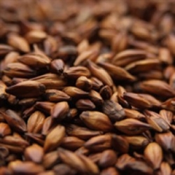 Weyermann Cara Aroma Malt 1oz