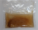 Kombucha SCOBY Culture