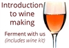 Intro to Wine Making Class with 1 Gal Kit for 2