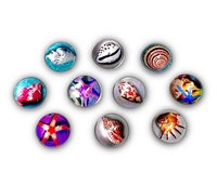 Badge Reel Button Cover-Sea Life (Pack of 10)