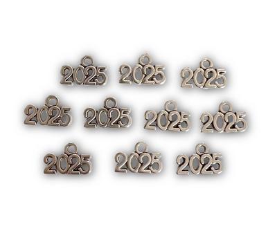 2025 Charms (Pack of 10)