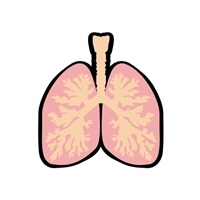 Badge Reel Lungs NO HOLE