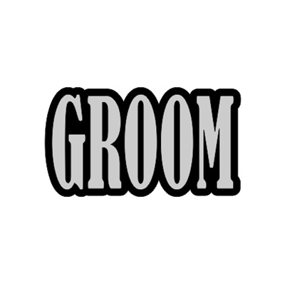 Badge Reel Groom NO HOLE