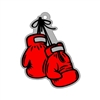 2" Boxing Gloves
