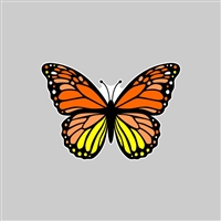 Butterfly Tumbler Sticker