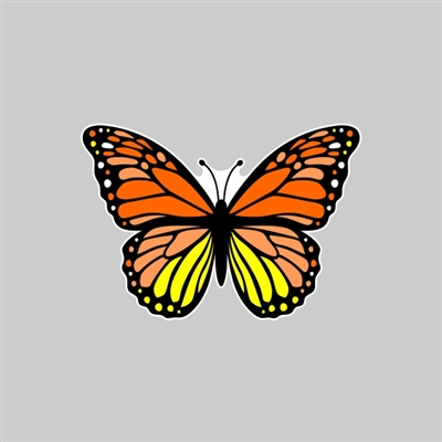 Butterfly Tumbler Sticker