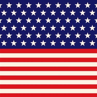 USA Flag Vinyl Sheet