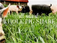 Whole Pig Share Deposit