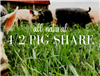 1/2 Pig Share Deposit