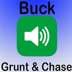 Buck Grunt Chase MP3 Audio/Sound (FREE)