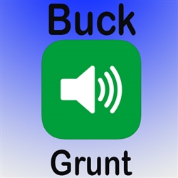 Buck Grunt MP3 Audio/Sound (FREE)