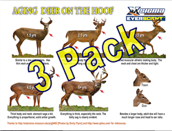 Aging Deer on the Hoof - 24"x18" POSTER (3 PACK)