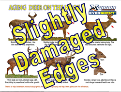 Slighty Damaged Aging Deer on the Hoof (5 Pack)