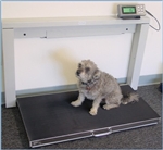 660lb veterinary dog scale with stainless