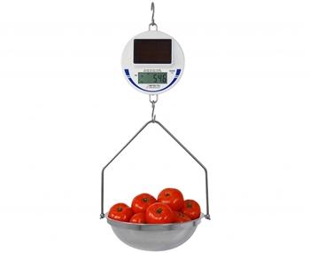 Detecto SCS30 Digital Hanging Scale