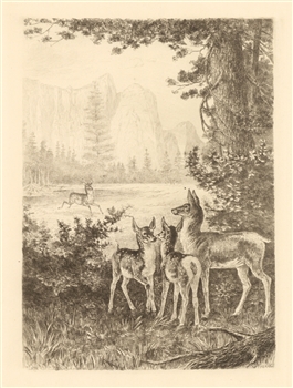 James Fagan etching William Montagne Cary Yosemite