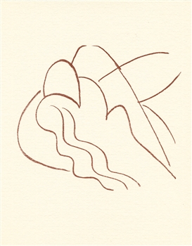 Henri Matisse lithograph Florilege de Rosnard