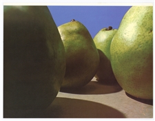 Peter Dechar original lithograph "Pears"