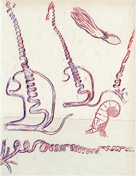 Max Ernst original lithograph, 1974