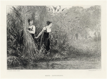 Felix Bracquemond etching "Reed Gathering"