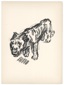 Rene Beeh original lithograph "The Lion"