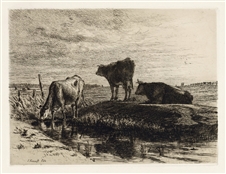 Joseph Foxcroft Cole original etching Three Cows