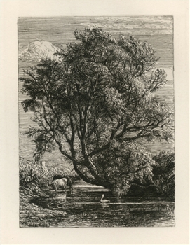 Samuel Palmer original etching The Willow