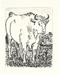 Pablo Picasso "Le Boeuf" The Cow | Buffon