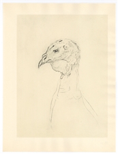 Toulouse-Lautrec lithograph "La dinde" Turkey