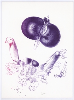 Francois Lunven lithograph Variations imaginaire