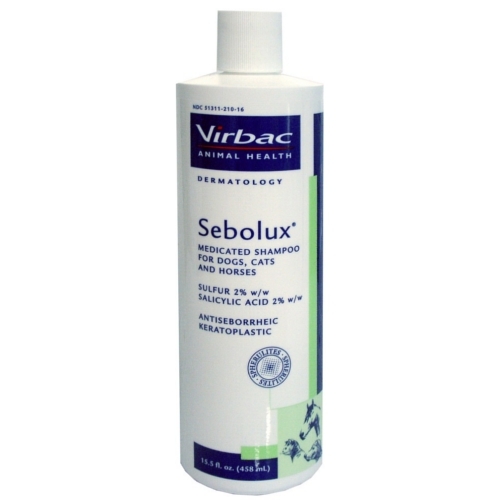 Antiseborrheic shampoo 2024 for cats