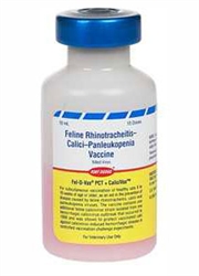 Fel-O-Vax PCT + Calcivax, 5 x 10 Dose Vials