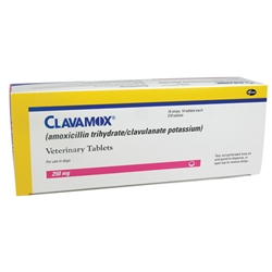 Clavamox - Antibiotic For Pets