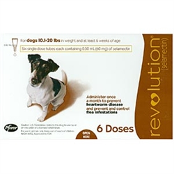 Revolution For Dogs 10-20 lbs, 6 Doses