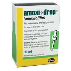 Amoxicillin-Antibiotic For Pets - Amoxi-Drops (Amoxicillin) 30 ml