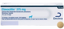 Putney Amoxi-Clav (Amoxicillin Trihydrate and Clavulanate Potassium Tablets)  375mg Tablet