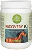 Recovery EQ Powder-Joint Support For Horses - 40 Days)